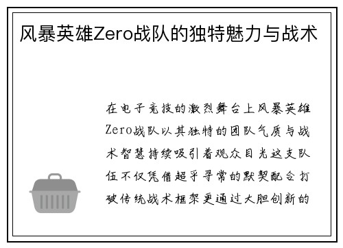 风暴英雄Zero战队的独特魅力与战术