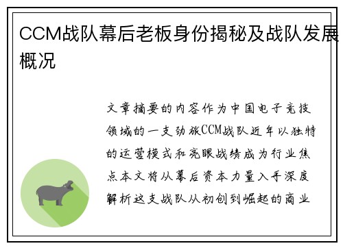 CCM战队幕后老板身份揭秘及战队发展概况